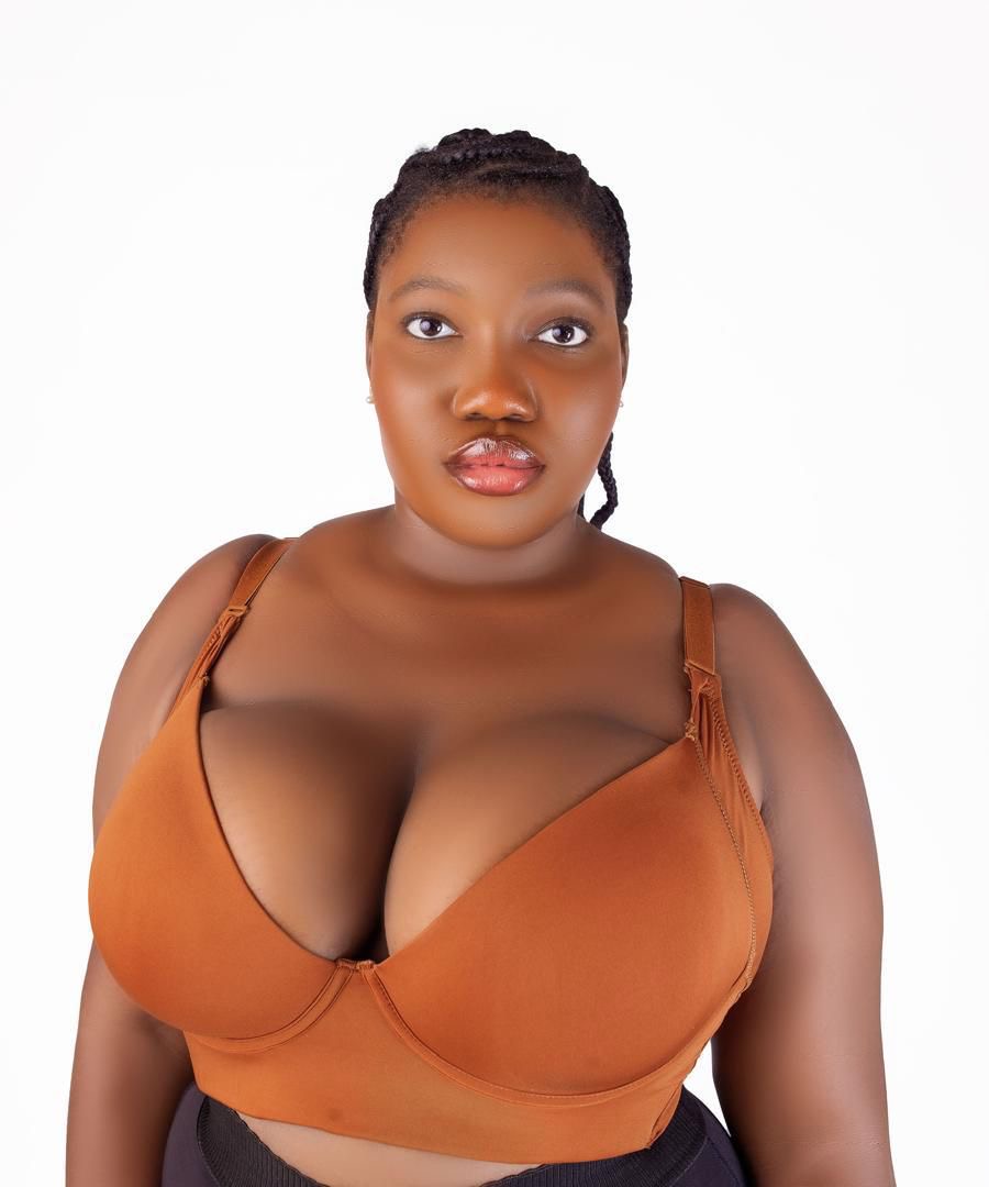 Adjustable Push Bra - Image 10